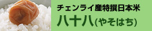 チェンライ産特選日本米